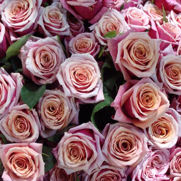 Bouquet Tendresse